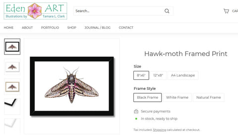 go to Hawk moth shop page for products, illustration by Tamara Clark