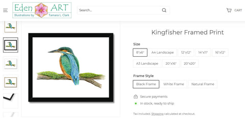 Go to Shop page for Kingfisher illustration by Tamara Clark
