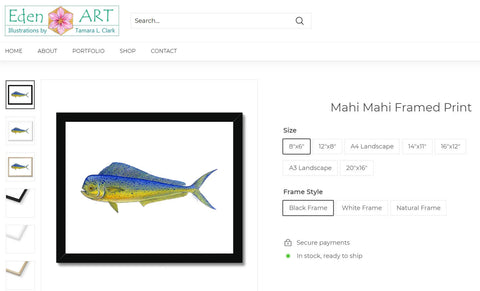 Go to Product page for Mahi Mahi illustration by Tamara Clark