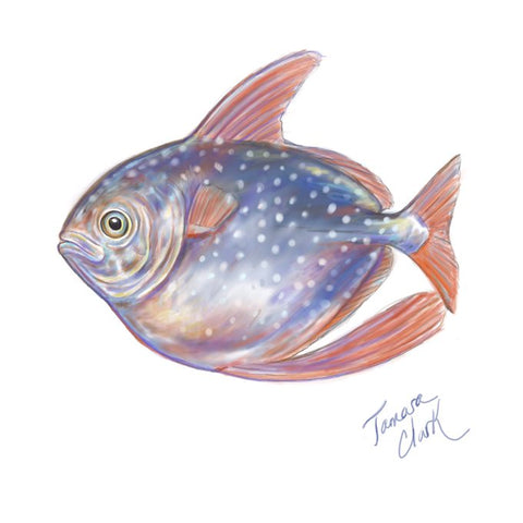 Juvenile Opah Illustration by Tamara Clark