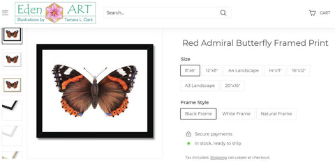 Go to Shop page for Red Admiral illustration by Tamara Clark