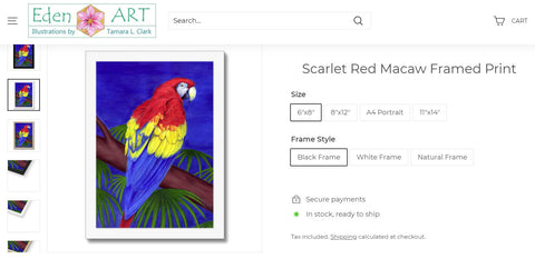 Go to Shop page for Red Macaw illustration by Tamara Clark