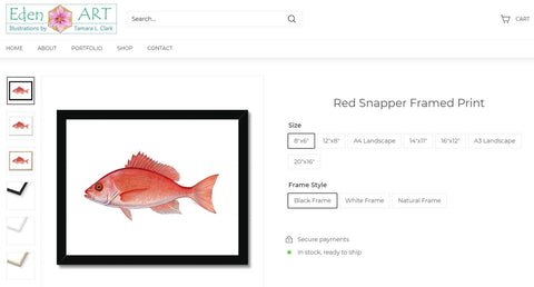 Go to Shop page for red snapper illustration by Tamara Clark