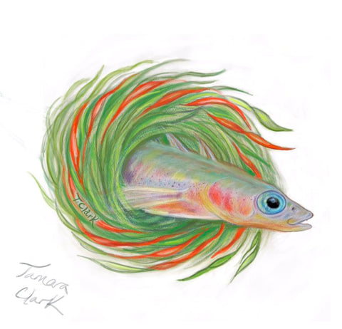 Stickleback Christmas Illustration by Tamara Clark