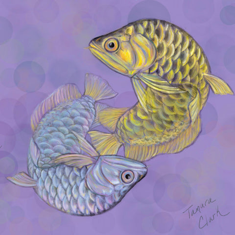 Arowana, Illustration by Tamara Clark