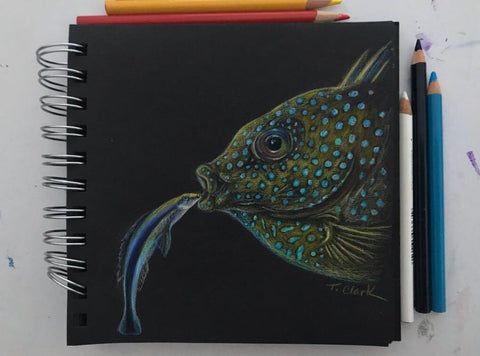 Wrasse and Rabbitfish, Illustration by Tamara Clark, Twitter link