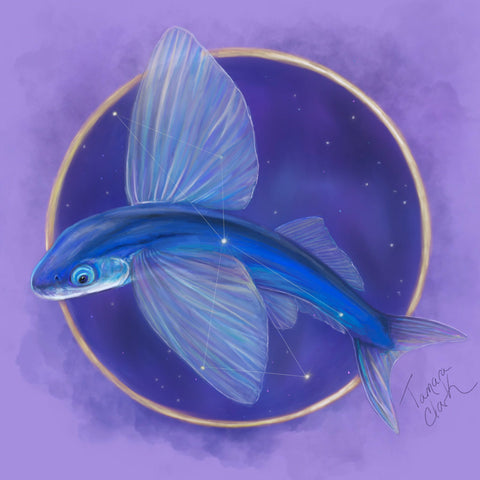 Flying Fish, Illustration by Tamara Clark