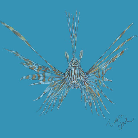 Lionfish, Illustration by Tamara Clark