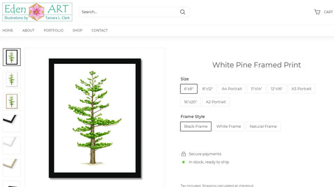 Go to Shop page for White Pine illustration by Tamara Clark, Eden art