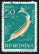 Sturgeon stamp