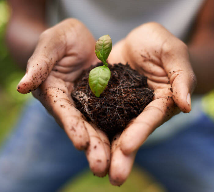 THE DAY I LEARNED THAT SOIL WASN'T DIRTY