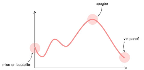 Le cycle du vin