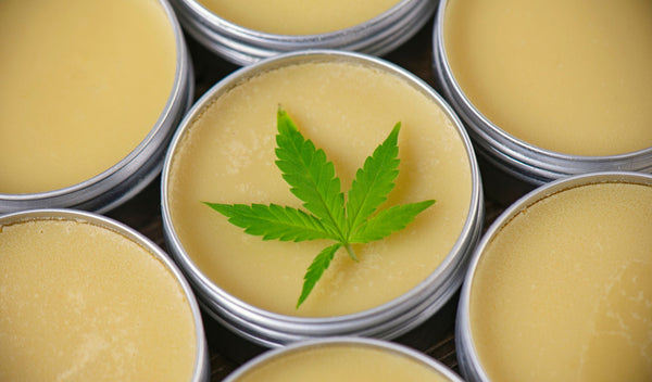 Open tins fo 500mg CBD Salves from the Weinert's Elk Creek Farm