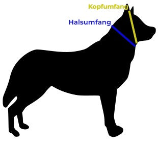 Hundebeispiel Messung Kopfumfang und Halsumfang