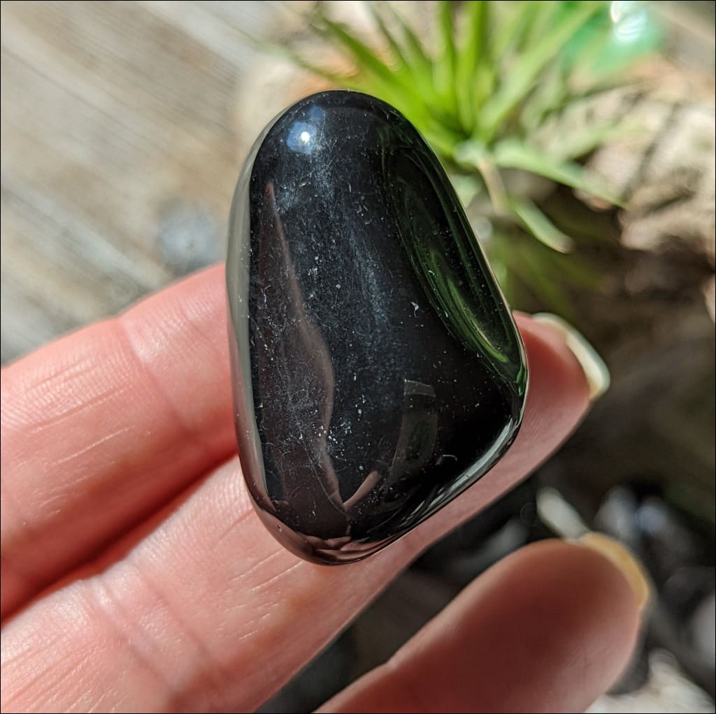Crystal Kismet - Shiny Black Onyx Tumbled Stones Large