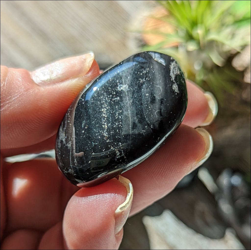 Shiny Black Onyx Tumbled Stones Large Consciously Sourced from Brazil Onyx  Healing Crystal Gemstone