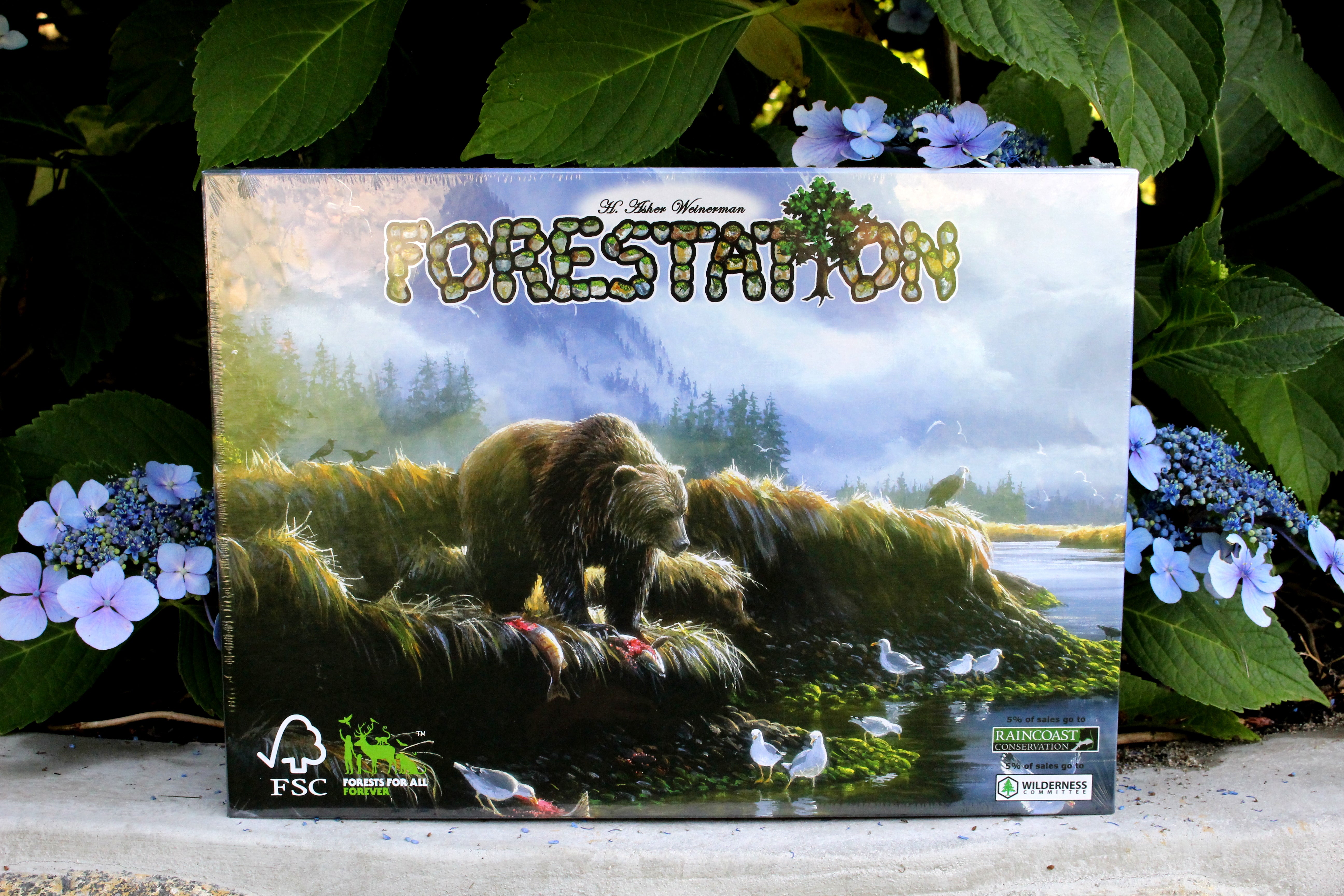 Forestation Board Game | CLJ Games