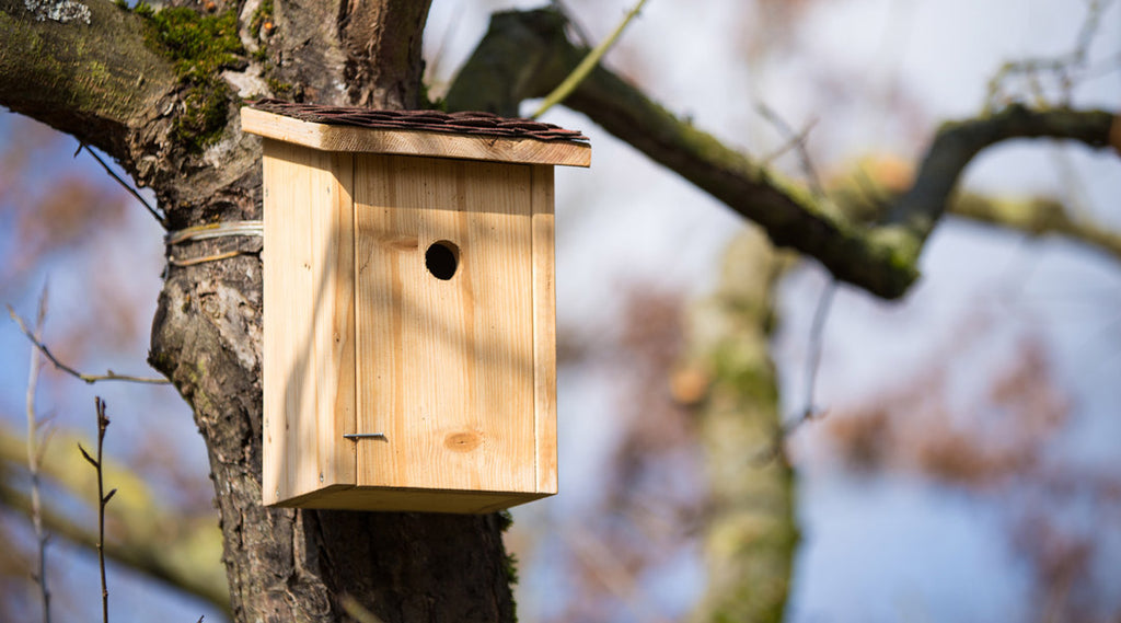 fuglehus fuglekasse få flere fugle i haven