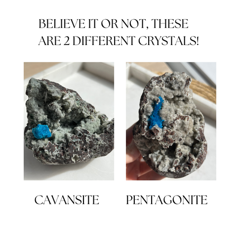 ¿Cuál es la diferencia entre cavansita y pentagonita? Cristales de sacerdotisa