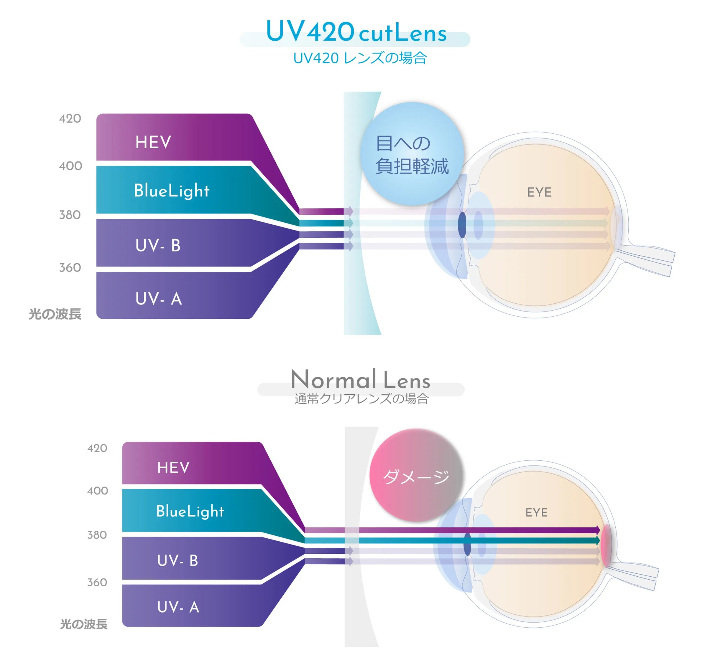 ノーマルレンズはHEVを通すため眼球にダメージを与えるがUV420カットレンズはHEVをブロックするのでダメージが減少する