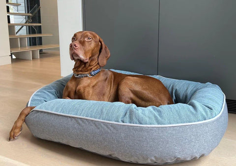 Bowsers Dog Bed
