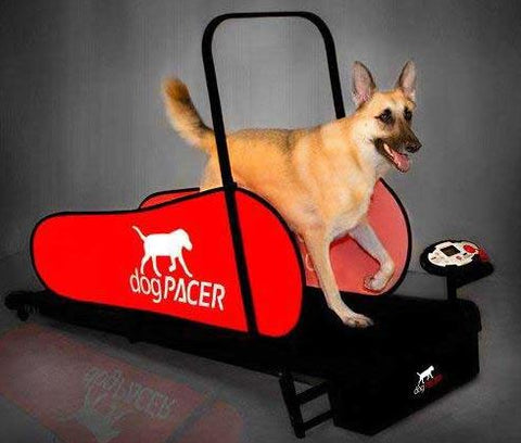 Dog Pacer Dog Treadmill