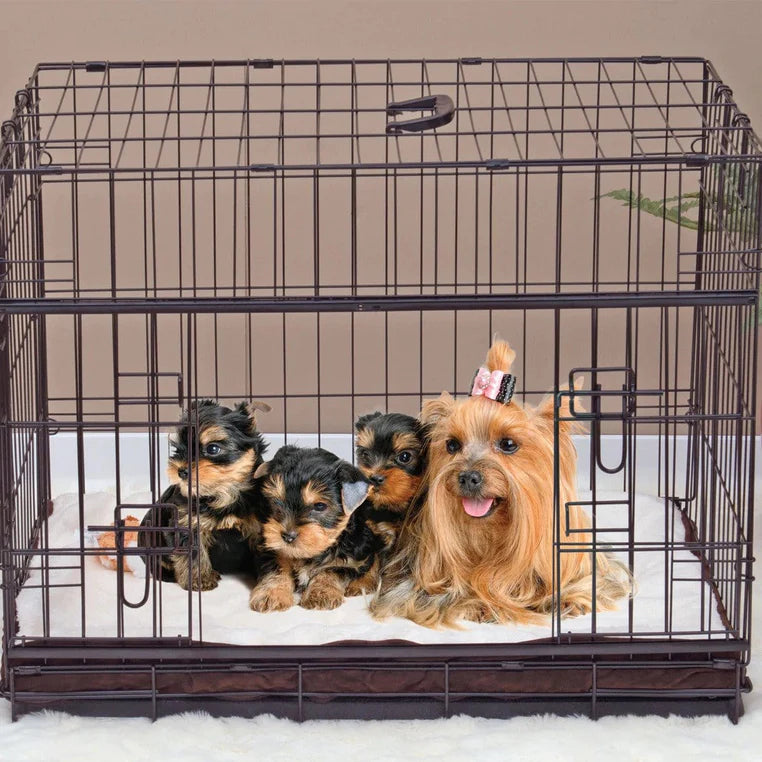 wire dog crate for separation anxiety