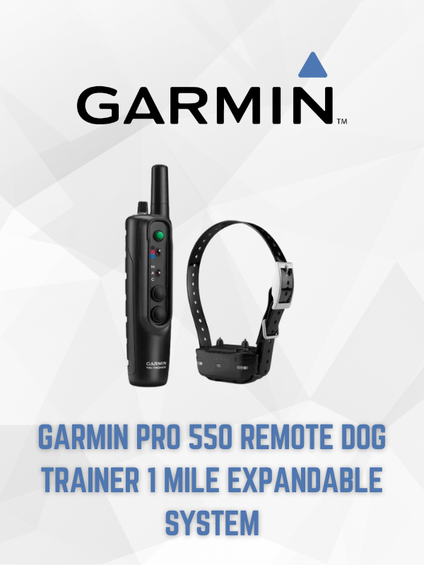 Garmin Pro 550