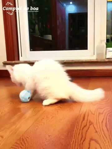 gato felpudas, Bola interativa para gatos, Brinquedo bola gatinho