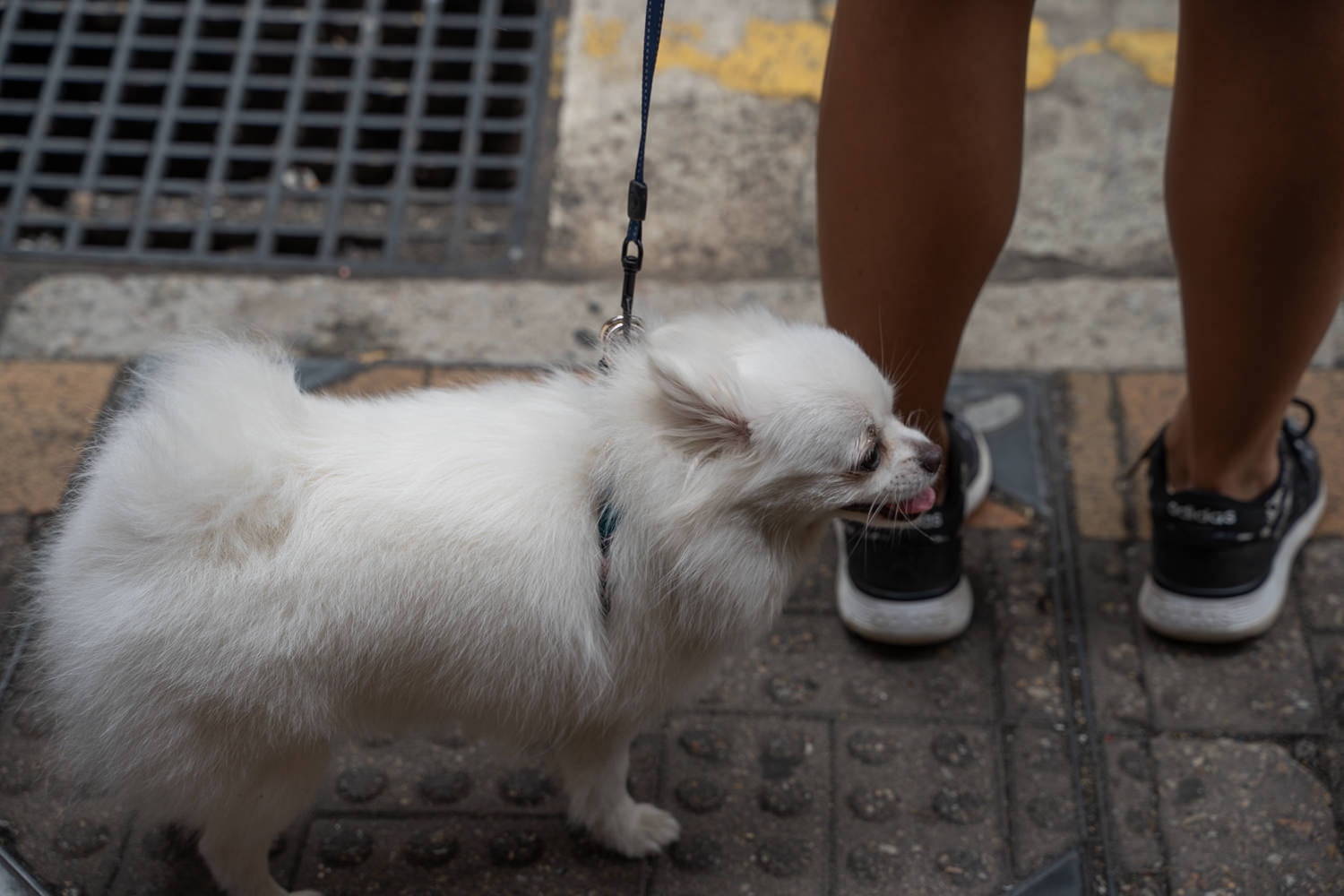 Hong Kong Street Photography Vol.2 / Jun 2019