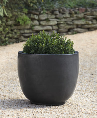 Vintage 29x15 Stone Pot w/ Black Olive Tree – Lolointeriors