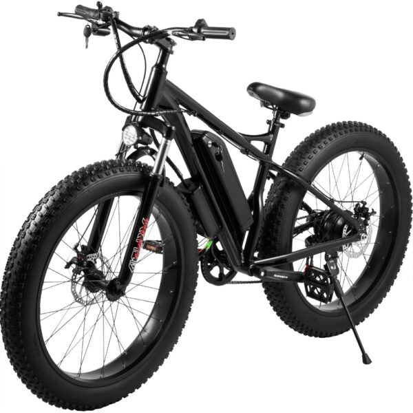 dk fat tire bike