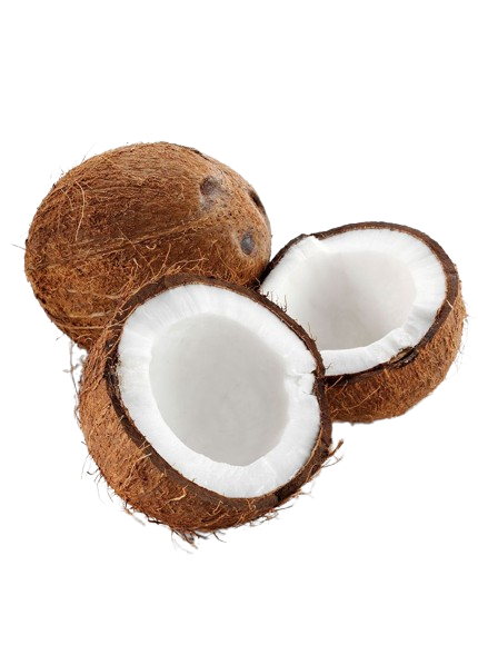 Coconut