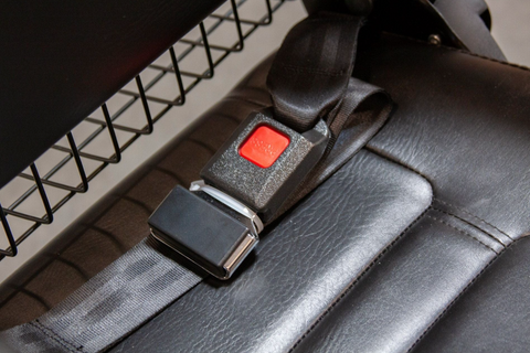 close up of seat with seat belt