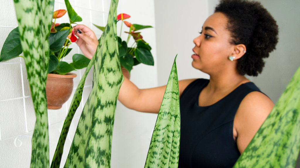 A woman looking after her indoor plants