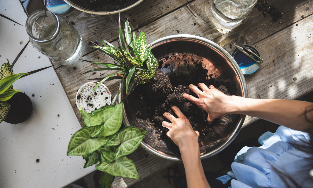 a woman creating a Kokedama plant 