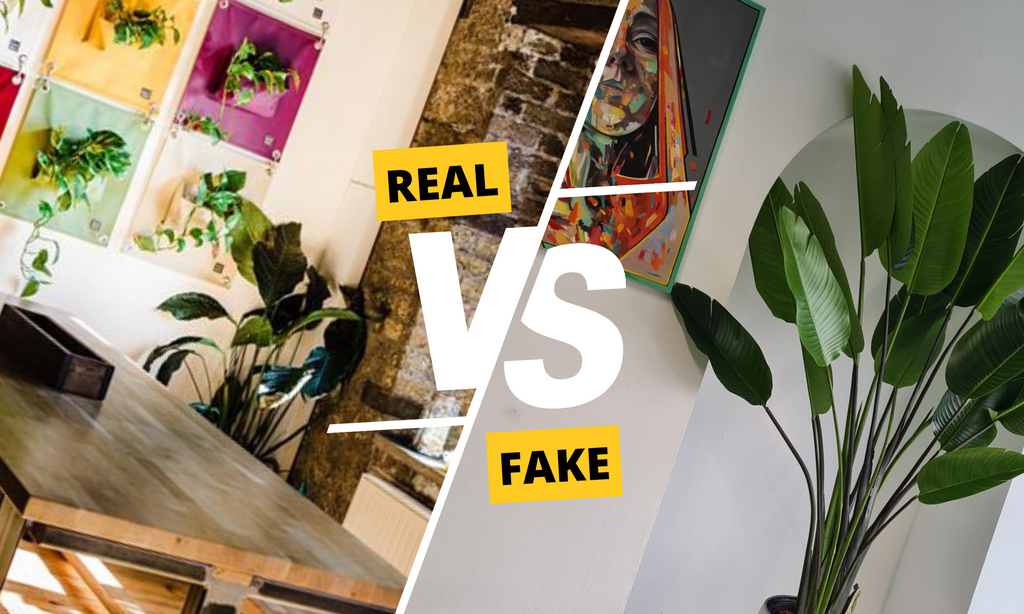 Real vs Artificial plants for the office 