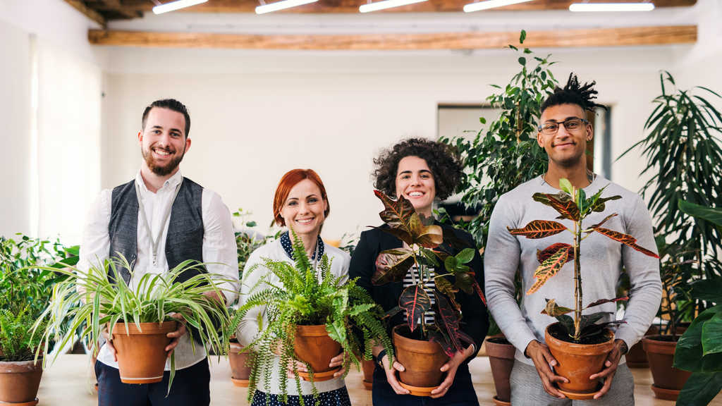 Group of young office workers holding indoor plants 