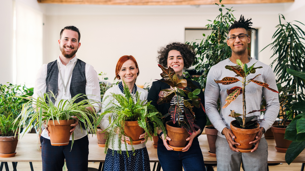 group of young people holding potted indoor plants 