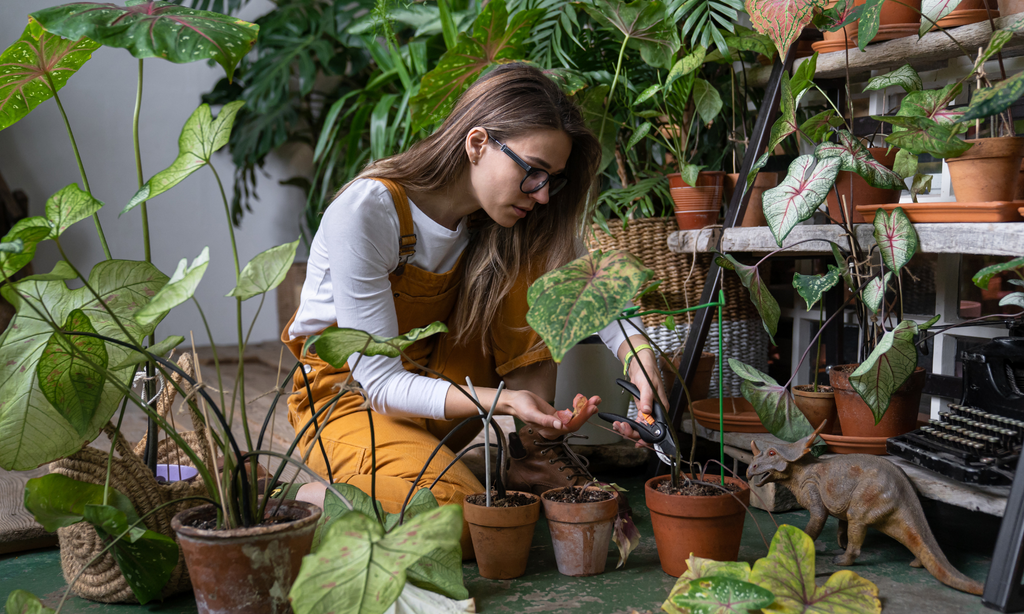 young women tending to collection of indoor plants 