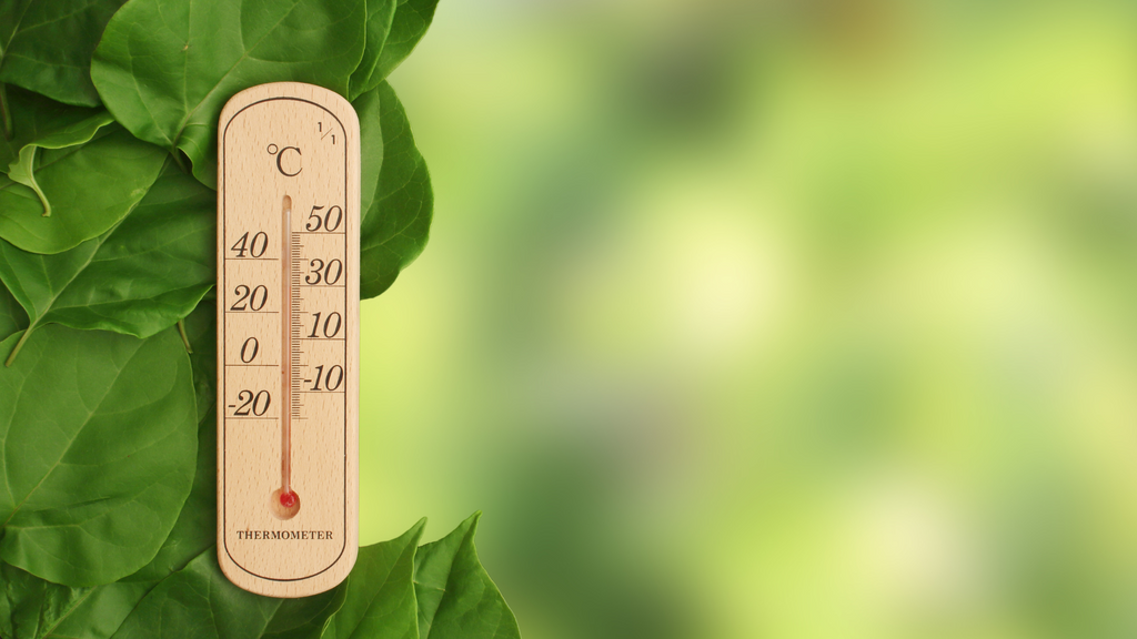 A wooden thermometer against a green background 