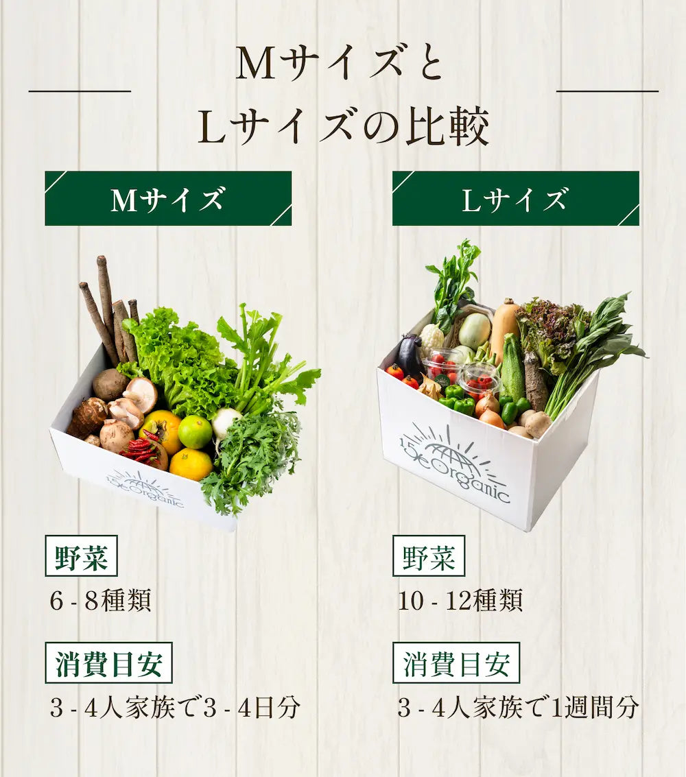 CTA(サイズ比較).webp__PID:669c32d4-9920-4714-8032-5d2ece12a5a8