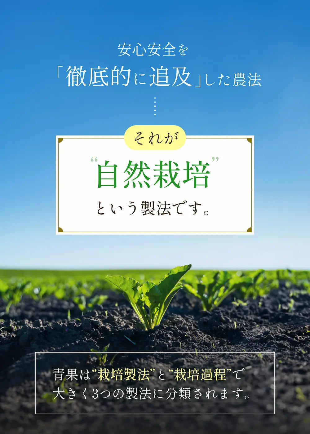 安心安全を〜追求した農法.webp__PID:0ab4f3b6-6fba-49a0-9c3b-4ae11fa13f22
