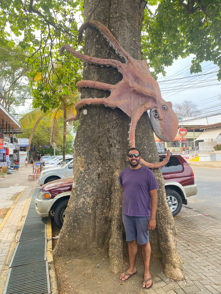 octopus sculpture costa rica