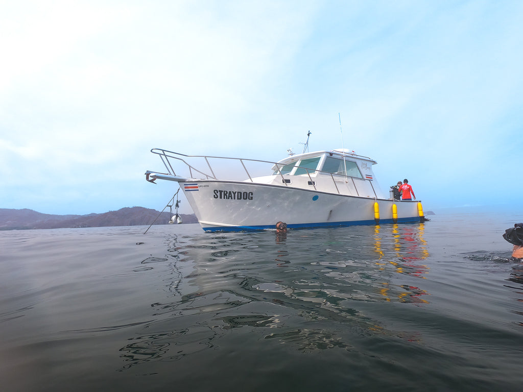 boat in water scuba diving costa rica