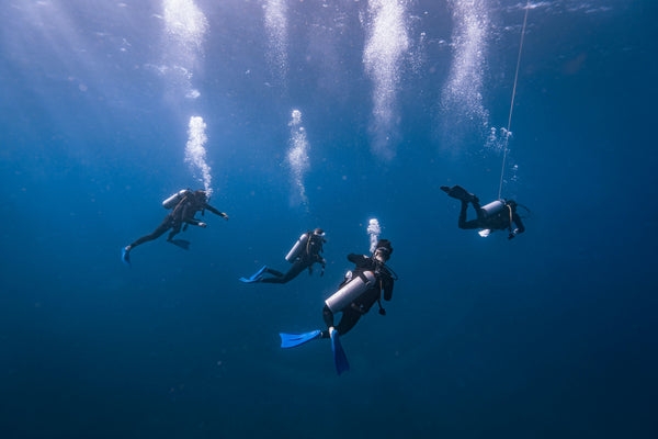 4 scuba diving buddies