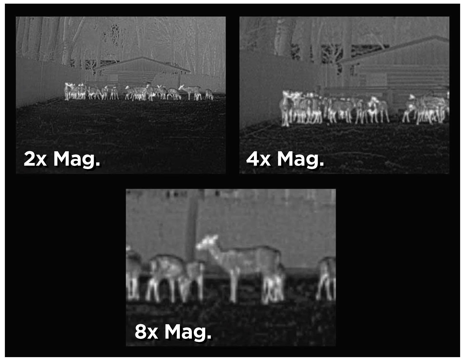 Comparison of thermal imaging with different magnifications showing deer in a field.