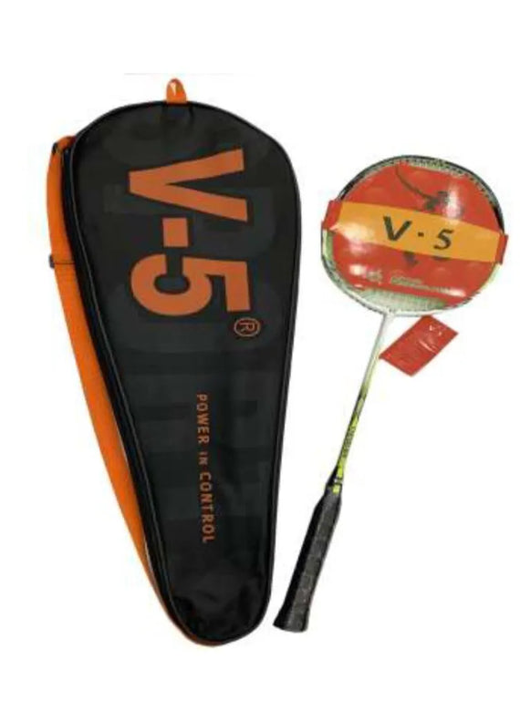 badminton-V-5-coach