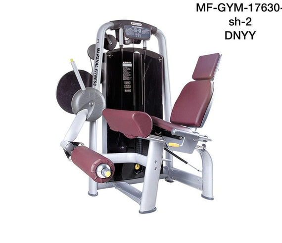 Marshal Fitness Seated Leg Extension Trainer MF-GYM-17630-SH-2