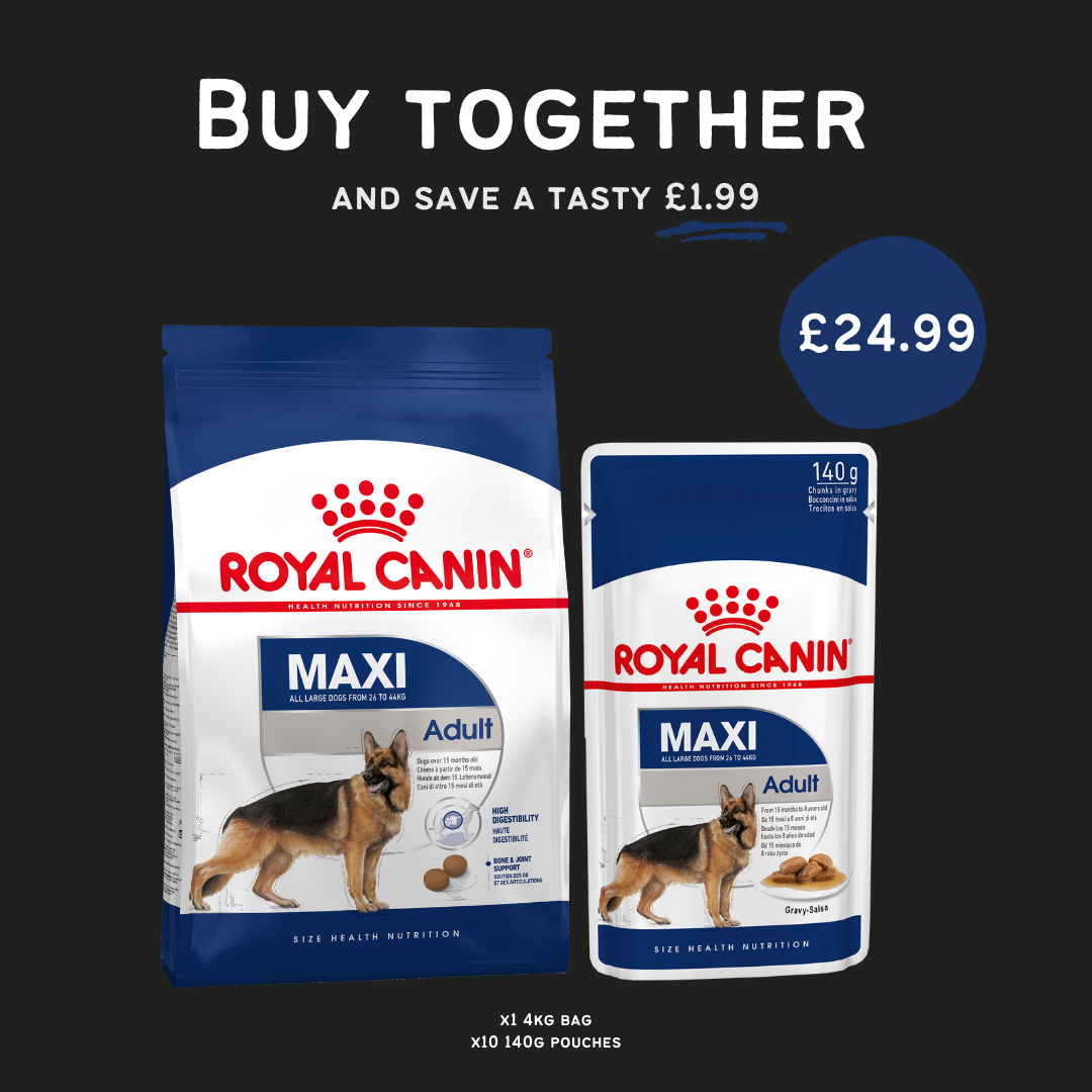 Aan Elektronisch landen Maxi Adult For dogs from 15 months & 10 x Maxi Adult wet food 140g Royal  Canin